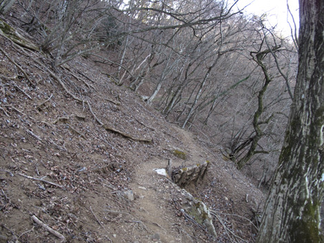 20190108hike (116)